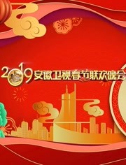 2019安徽卫视春晚